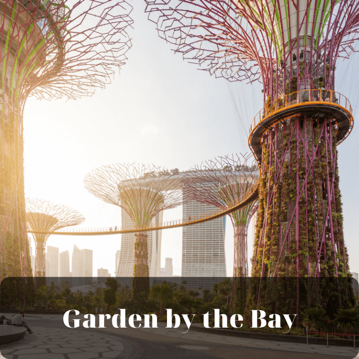 garden-by-the-bay---tour-singapore-malaysia_optimized